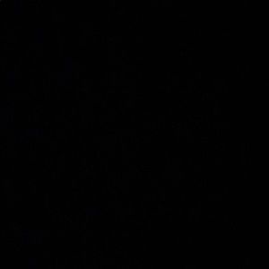 Meet your Posher, Marlene